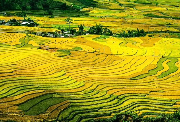 Tour Du Lịch Sapa 2 Ngày 1 Đêm Bằng Ô Tô Copy